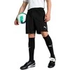 Puma Šortai Vyrams TeamGoal Shorts Juodas 705752 03