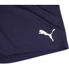 Puma Šortai Vyrams Teamrise Short Peacoat Mėlyna 704942 06