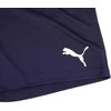 Puma Šortai Vyrams Teamrise Short Peacoat Mėlyna 704942 06