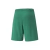 Puma Šortai Vyrams Teamrise Short Žalias 704942 05