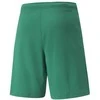 Puma Šortai Vyrams Teamrise Short Žalias 704942 05