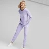 Puma Sportinės Kelnės Moterims Ess Elevated Pants Violetinė 673789 25