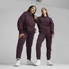 Puma Sportinės Kelnės Moterims Ess Elevated Sweatpants Fl 676805 44