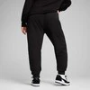 Puma Sportinės Kelnės Moterims Ess No. 1 Logo Sweatpants Juodas 682450 01