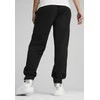 Puma Sportinės Kelnės Moterims Ess+ Small Logo Pants Juodas 678744 01