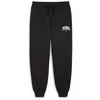 Puma Sportinės Kelnės Moterims Squad Pants Fl 681542 01