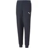 Puma Sportinės Kelnės Paaugliams Active Sports Sweatpants Tr Navy 670076 43