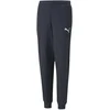 Puma Sportinės Kelnės Paaugliams Active Sports Sweatpants Tr Navy 670076 43
