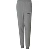 Puma Sportinės Kelnės Paaugliams Ess+ 2 Col Logo Pants Fl Pilkas 586988 03