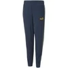 Puma Sportinės Kelnės Paaugliams Ess Block Sweatpants Mėlyna Žalias 849083 73