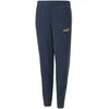 Puma Sportinės Kelnės Paaugliams Ess Block Sweatpants Mėlyna Žalias 849083 73