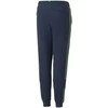 Puma Sportinės Kelnės Paaugliams Ess Block Sweatpants Mėlyna Žalias 849083 73