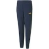Puma Sportinės Kelnės Paaugliams Ess Block Sweatpants Mėlyna Žalias 849083 73