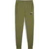 Puma Sportinės Kelnės Vyrams Ess+ 2 Col Logo Pants Žalias 586768 35