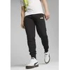 Puma Sportinės Kelnės Vyrams Ess+ 2 Col Logo Pants Juodas 586768 59