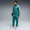 Puma Sportinės Kelnės Vyrams Ess 2 Color No. 1 Žalias 684714 41