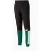Puma Sportinės Kelnės Vyrams Ess+ Block Sweatpants Juodas Baltas Žalias 848007 37