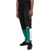 Puma Sportinės Kelnės Vyrams Ess+ Block Sweatpants Juodas Baltas Žalias 848007 37