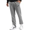 Puma Sportinės Kelnės Vyrams Ess Logo Pants Fl Pilkas 586718 03