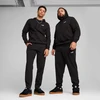 Puma Sportinės Kelnės Vyrams Ess No. 1 Logo Sweatpants Fl Juodas 682610 01