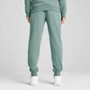 Puma Sportinės Kelnės Vyrams Ess No. 1 Logo Sweatpants Žalias 682609 30