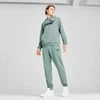 Puma Sportinės Kelnės Vyrams Ess No. 1 Logo Sweatpants Žalias 682609 30