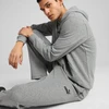 Puma Sportinės Kelnės Vyrams Ess No. 1 Logo Sweatpants Dark Gray 682612 03
