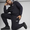 Puma Sportinės Kelnės Vyrams Ess No. 1 Logo Sweatpants Fl Mėlyna 682606 16