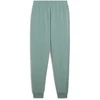 Puma Sportinės Kelnės Vyrams Ess No. 1 Logo Sweatpants Žalias 682609 30