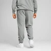 Puma Sportinės Kelnės Vyrams Ess No. 1 Logo Slim Sweatpants Pilkas 682644 03
