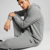 Puma Sportinės Kelnės Vyrams Ess No. 1 Logo Sweatpants Dark Gray 682612 03