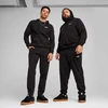 Puma Sportinės Kelnės Vyrams Ess No. 1 Logo Sweatpants Fl Juodas 682610 01
