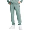 Puma Sportinės Kelnės Vyrams Ess No. 1 Logo Sweatpants Žalias 682609 30