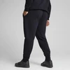 Puma Sportinės Kelnės Vyrams Ess No. 1 Logo Sweatpants Fl Mėlyna 682606 16