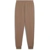 Puma Sportinės Kelnės Vyrams Ess No. 1 Logo Sweatpants Brown 682609 93