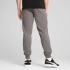 Puma Sportinės Kelnės Vyrams Ess No. 1 Logo Sweatpants Pilkas 682609 79
