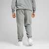 Puma Sportinės Kelnės Vyrams Ess No. 1 Logo Slim Sweatpants Pilkas 682644 03