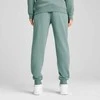 Puma Sportinės Kelnės Vyrams Ess No. 1 Logo Sweatpants Žalias 682609 30