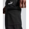 Puma Sportinės Kelnės Vyrams Ess No. 1 Logo Cargo Pants Fl Juodas 682660 01