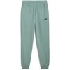 Puma Sportinės Kelnės Vyrams Ess No. 1 Logo Sweatpants Žalias 682609 30