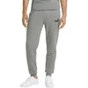 Puma Sportinės Kelnės Vyrams Ess Slim Pants Tr Pilkas 586749 03