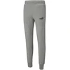 Puma Sportinės Kelnės Vyrams Ess Slim Pants Fl Pilkas 586748 03