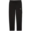 Puma Sportinės Kelnės Vyrams Evostripe Pants Juodas 692191 01