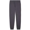 Puma Sportinės Kelnės Vyrams Rad/Cal Pants Galactic Gray 681621 69