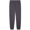 Puma Sportinės Kelnės Vyrams Rad/Cal Pants Galactic Gray 681621 69