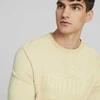 Puma Sportinis Džemperis Vyrams Ess Elevated Crew Kreminis 673386 88