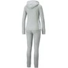 Puma Sportinis Kostiumas Moterims Classic Hooded Pilkas 847129 04