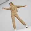 Puma Sportinis Kostiumas Moterims Loungewear Suit Brown 673702 89