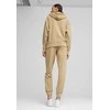 Puma Sportinis Kostiumas Moterims Loungewear Suit Kreminis 679920 83