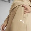 Puma Sportinis Kostiumas Moterims Loungewear Suit Brown 673702 89
